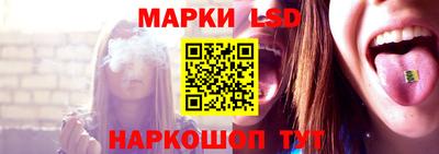 гидропоника Краснознаменск